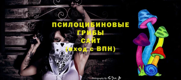 гидра Медвежьегорск