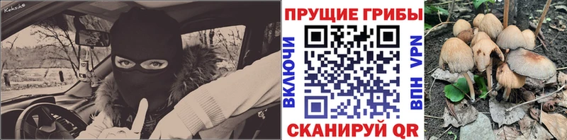 Галлюциногенные грибы Magic Shrooms  нарко площадка Telegram  Ессентукская  магазин продажи наркотиков 